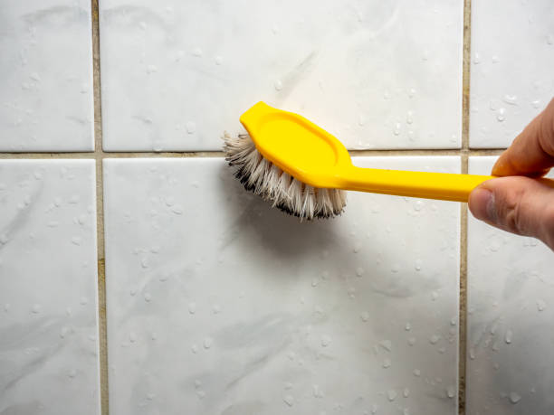 Best Mold Remediation for Specific Building Types in Avalon, NJ